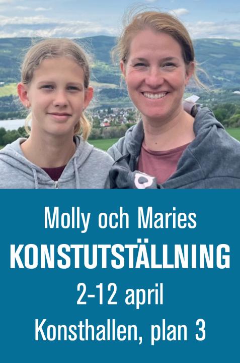 Molly och Maries konstutställning